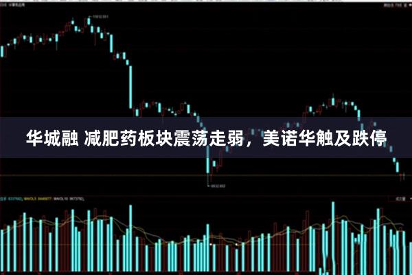 华城融 减肥药板块震荡走弱，美诺华触及跌停