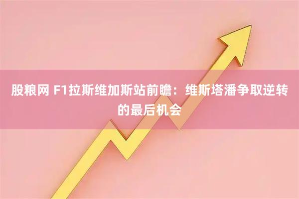 股粮网 F1拉斯维加斯站前瞻：维斯塔潘争取逆转的最后机会