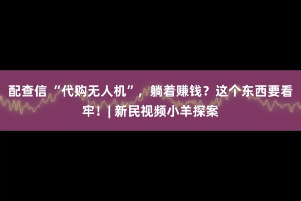 配查信 “代购无人机”，躺着赚钱？这个东西要看牢！| 新民视频小羊探案