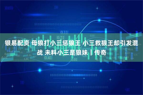 银易配资 母狼打小三惩狼王 小三救狼王却引发混战 未料小三是狼妹｜传奇