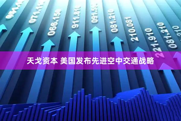 天戈资本 美国发布先进空中交通战略