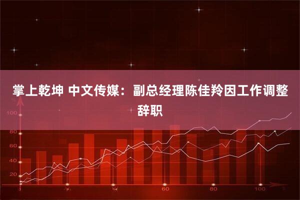 掌上乾坤 中文传媒：副总经理陈佳羚因工作调整辞职